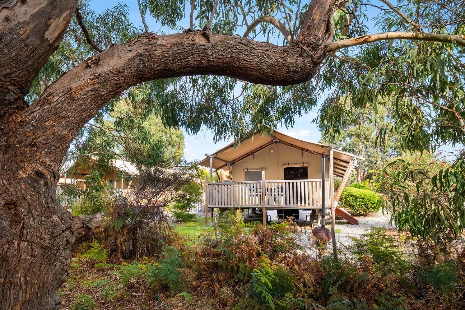 Scamander Sanctuary Holiday Park Exterior foto